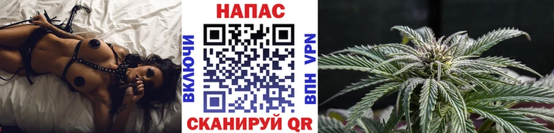 Бошки Шишки OG Kush  Купить закладки  Бугульма 